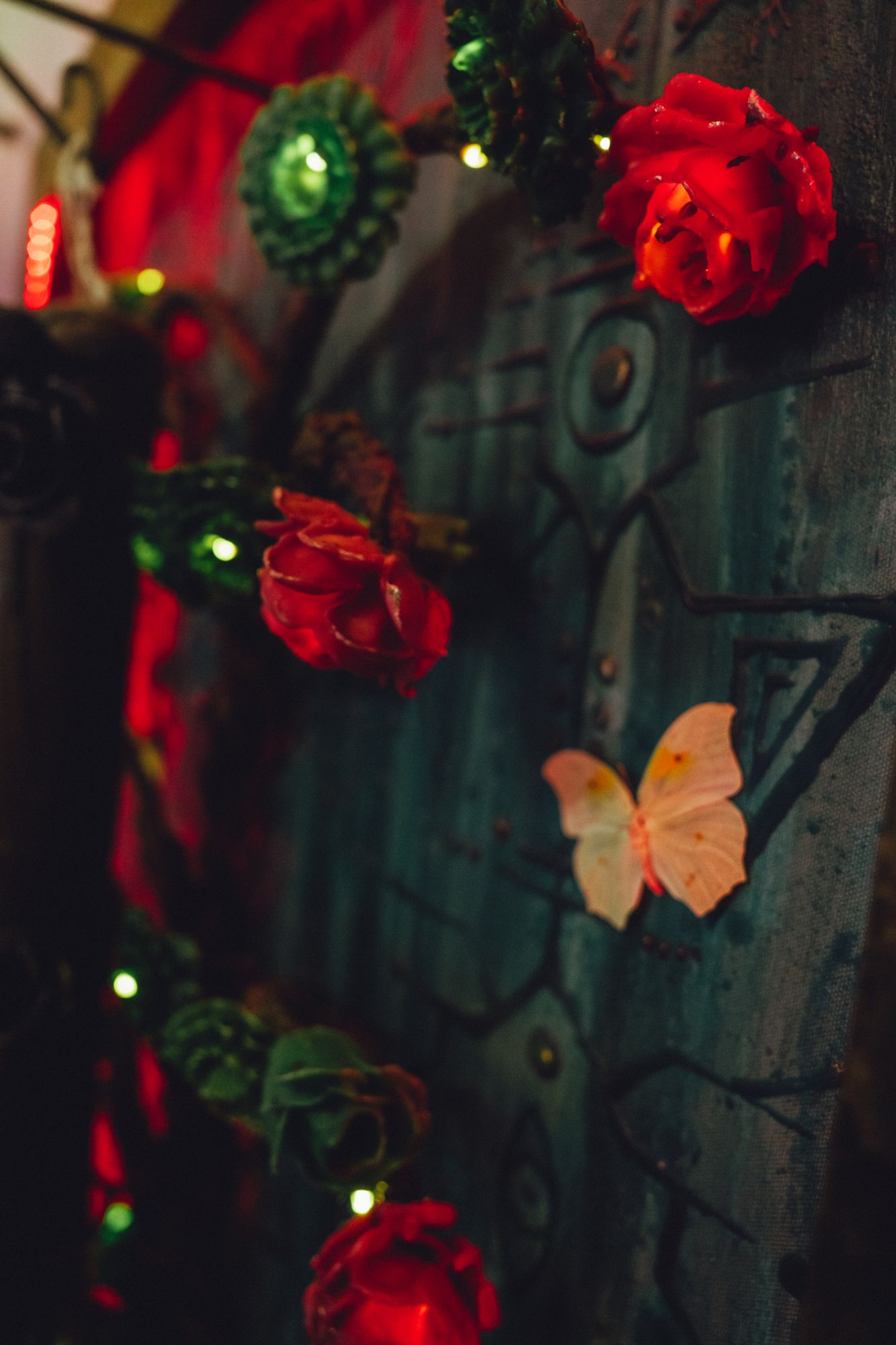 Red roses in close detail