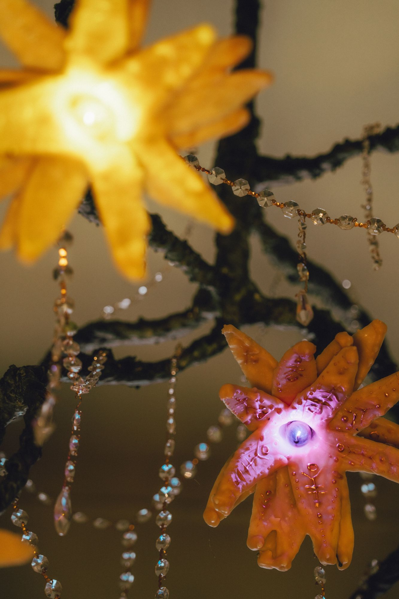 Flora de otro mundo: wax flowers glowing amber and violet on dark branches