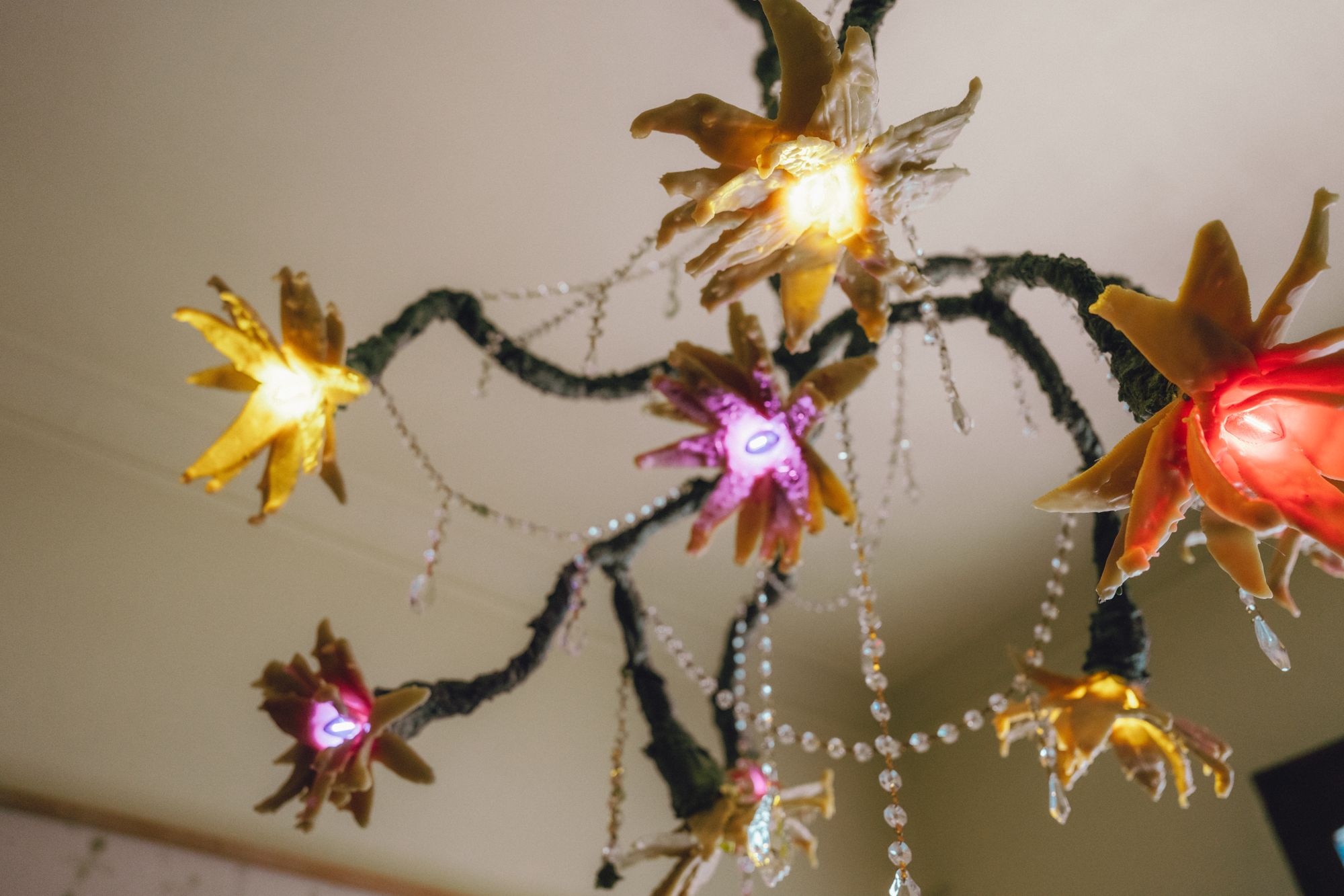 Especie Nocturna I: branching chandelier of glowing wax flowers and crystal strands
