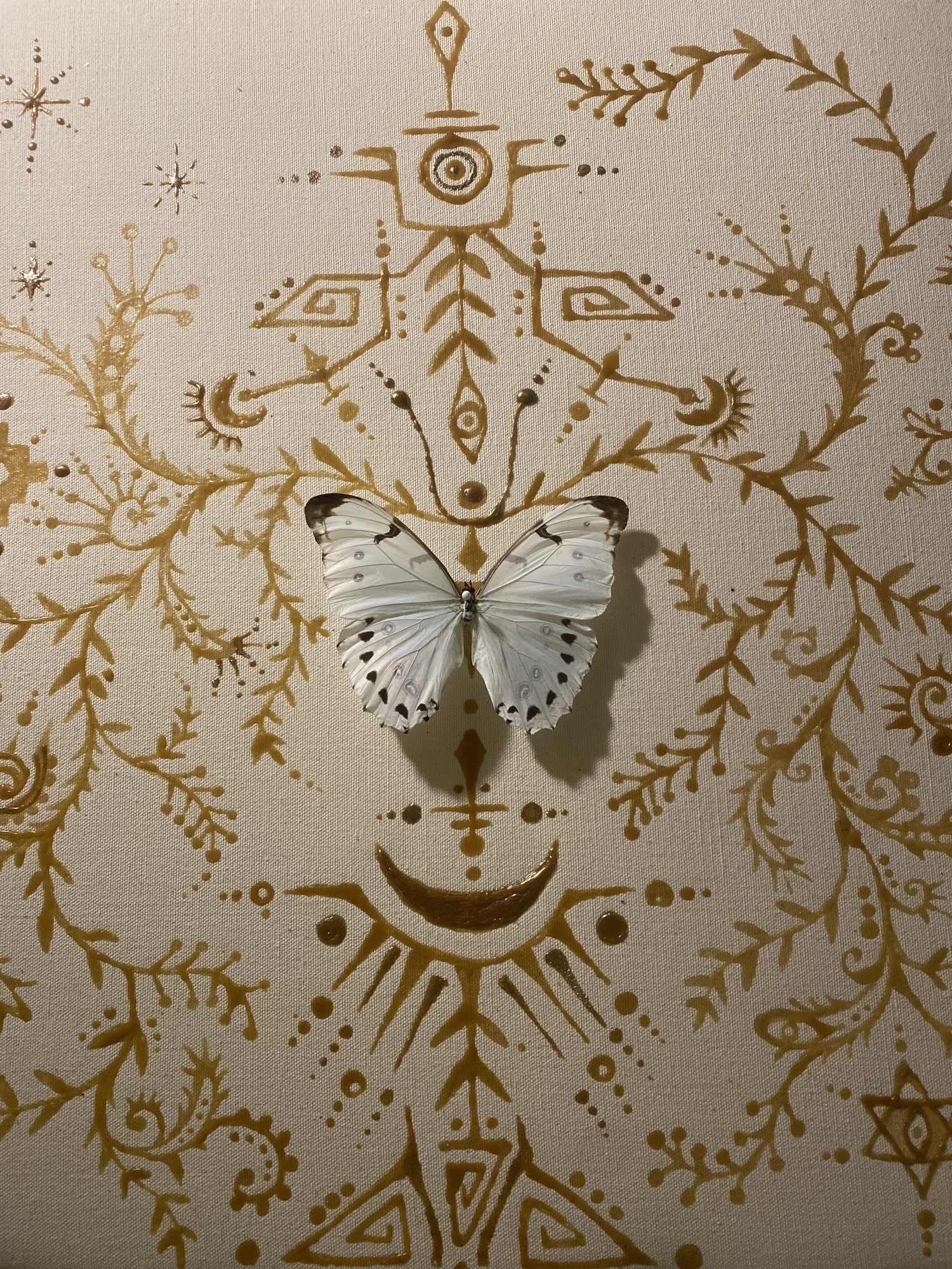 Cream canvas painted with gold glyphs and a mounted white butterfly specimen